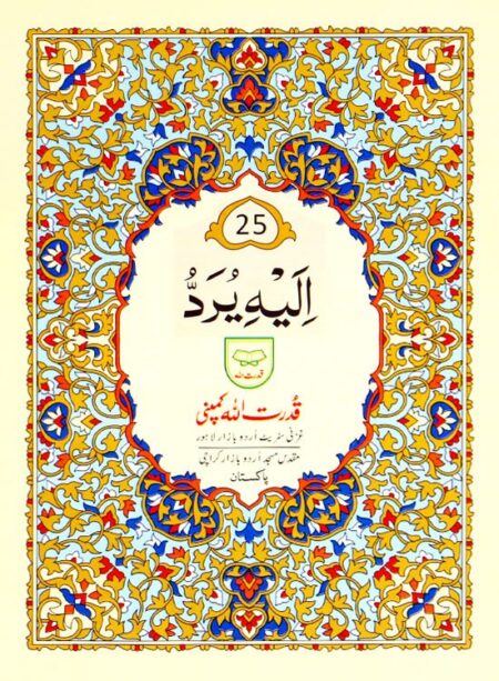 #225 Para #25 QUC