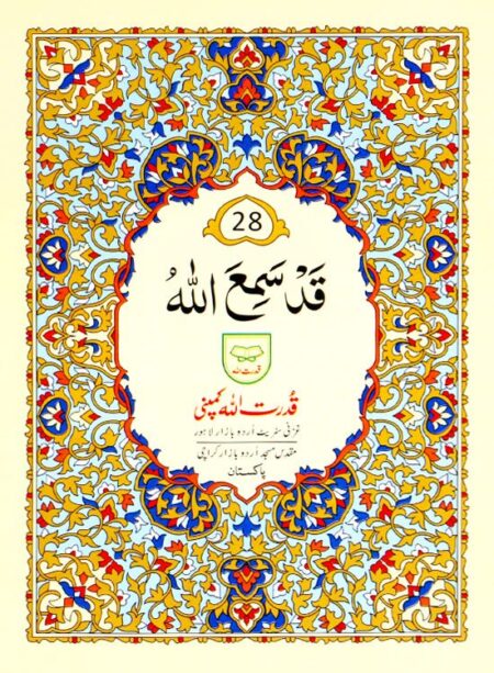 #228 Para #28 QUC