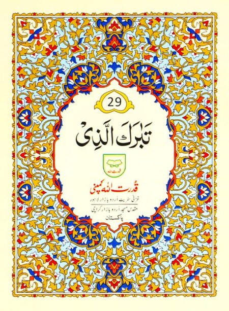 #229 Para #29 QUC