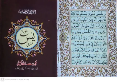 #322A Surah Yaseen QUC
