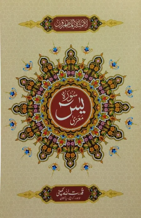 #325 Surah Yaseen QUC