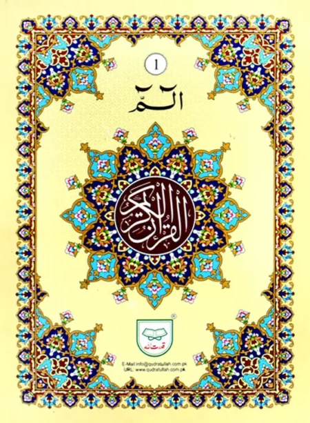#99 Set Of 30 Parras 9 Lines QUC