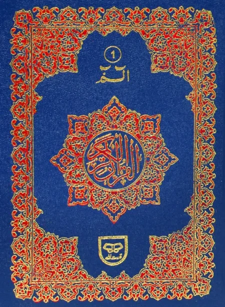 #99A Set Of 30 Parras QUC