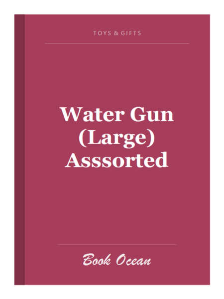 Water Gun (Large) Asssorted
