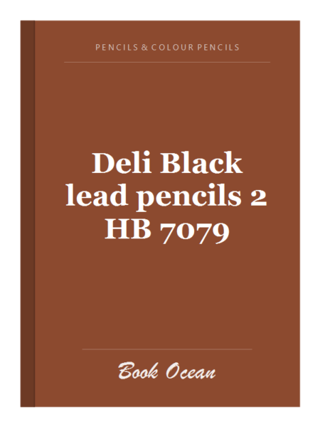 Deli Black lead pencils 2 HB 7079