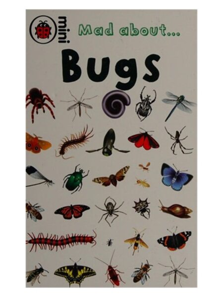 Mad About Bugs Mini Ladybird
