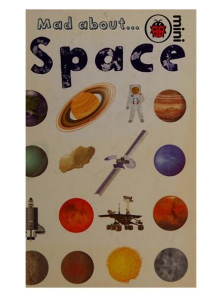 Mad About Space Mini Ladybird