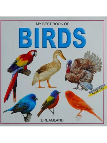 My Best Book Of Birds Dreamland