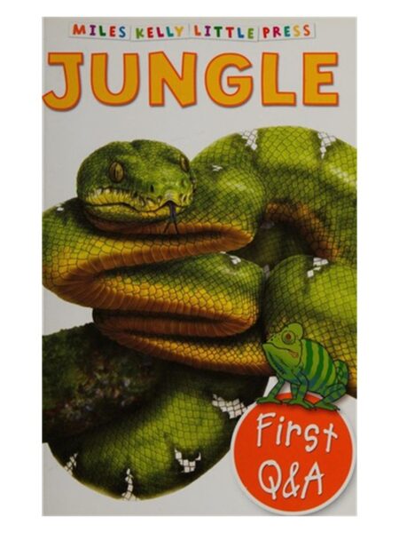 Jungle By Miles Kelly First Q&A