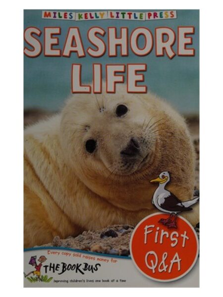 Seashore Life By Miles Kelly First Q&A
