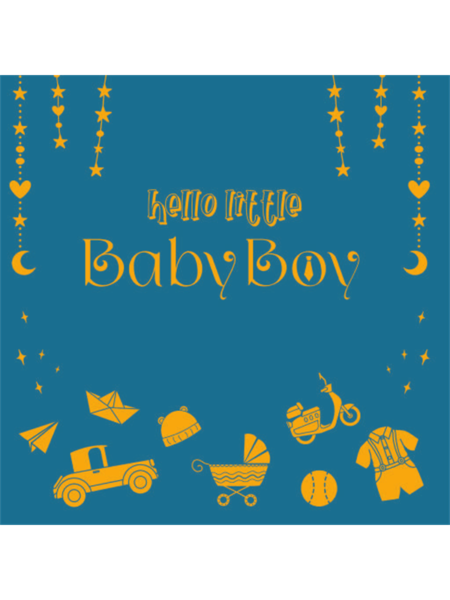 Hello Little Baby Boy (Baby Record Book) PB